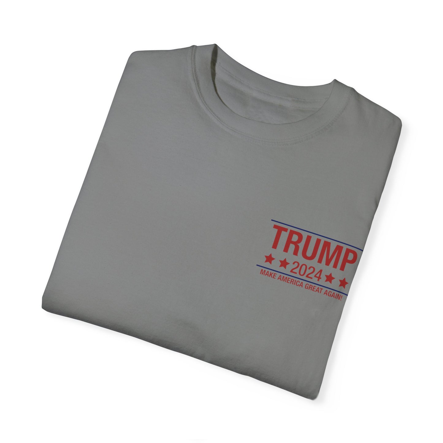 Politic Unisex Garment-Dyed T-shirt