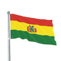 Doppelseitige Flagge – Bolivien, Dekorative Gartenflagge, Außenbanner, Heimdekoration, Flagge für Feierlichkeiten